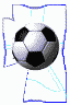 Soccer Stadium?