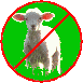 no more sheep